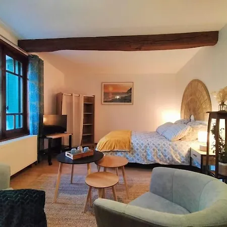 Apartman Cosy Chez Re Meximieux