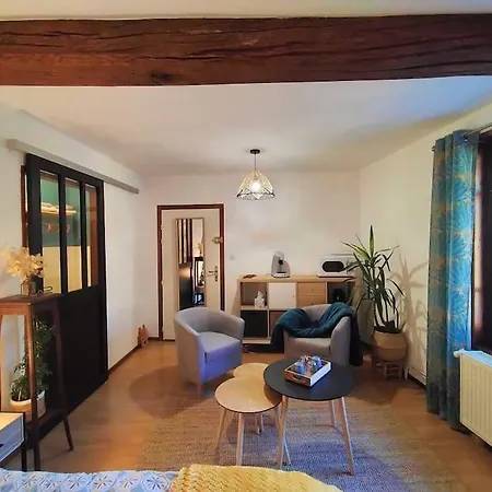 Cosy Chez Re Apartman Meximieux